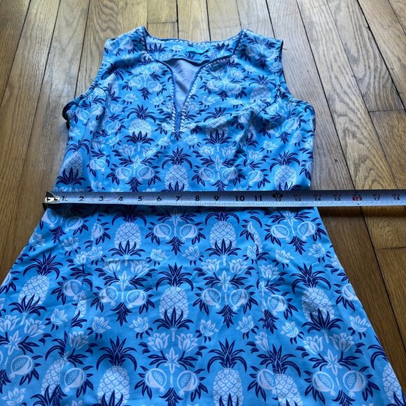 J. McLaughlin Size XS Blue Rue Pineapple Print Sleeveless Split Neck Shift Dress - Picture 9 of 13